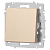 Кнопка Accent 6-109-04 10А-250В IP20 СУ шампань Intro Б0063610