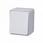 Переключатель проходной 1-кл. ОП AtlasDesign PROFI IP54 10AX бел. SE ATN540161