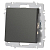 Кнопка Accent 6-109-07 10А-250В IP20 СУ графит Intro Б0063617
