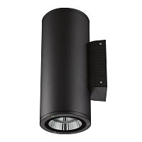 Светильник светодиодный ULU-S22D-2x22W/6400K IP65 BLACK уличный архитектурный накладной черн. Uniel UL-00010852