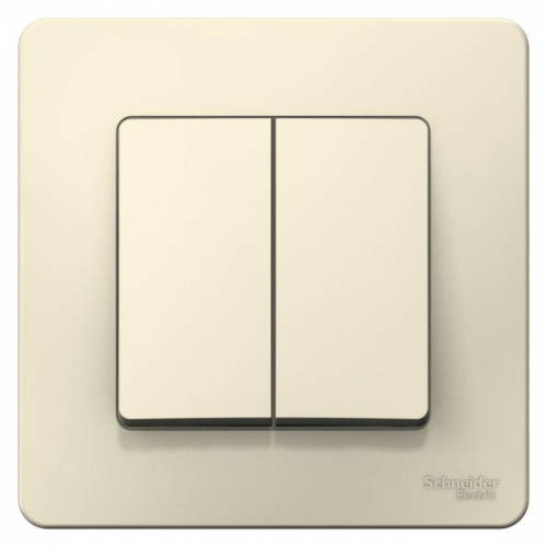 Выключатель 2-кл. СП Blanca 6А IP20 (сх. 5) 250В молочн. SE BLNVS006502 фото 2