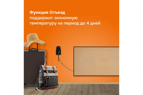 Терморегулятор pt bk Welrok 4660251140687 фото 3