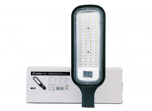 Светильник уличный 100 Вт THL-1010 Ultraflash 14965 фото 14