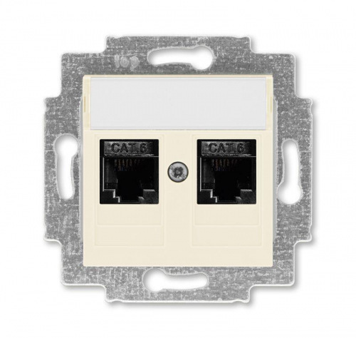 Розетка информационная Levit двойная 2хRJ45 кат. 6 сл. кость ABB 2CHH296118A6017