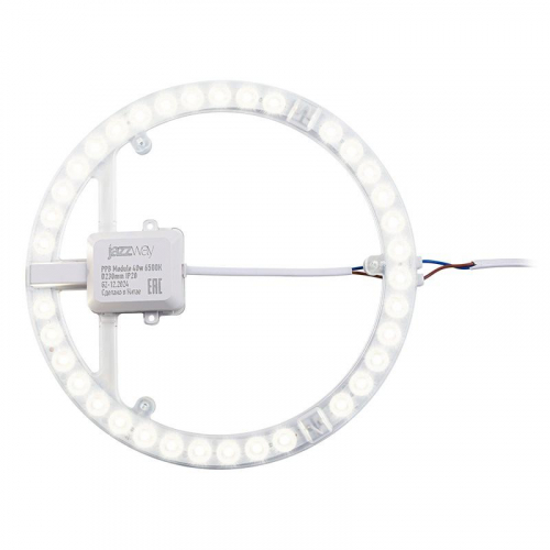 Модуль светодиодный с драйвером PPB Module 40Вт 6500К IP20 D250мм JazzWay 5065000 фото 2