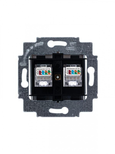 Розетка информационная Levit двойная 2хRJ45 кат. 5e серебр. ABB 2CHH295118A6070 фото 4