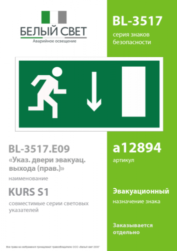 Пластина BL-3517.E09 "Указатель двери эвакуационного выхода (прав.)" Белый свет a12894 фото 2