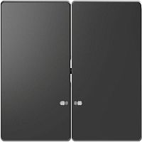 Клавиша для 2-кл. выкл. Merten D-Life линза для LED мод. SD антрацит SchE MTN3420-6034