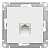 Розетка компьютерная AtlasDesign RJ45 кат.5E механизм лотос SE ATN001383