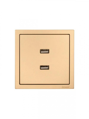 Розетка 2-м СП ZIMA IP20 USB механизм зол. LEZARD 704-3688-192 фото 3