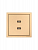Розетка 2-м СП ZIMA IP20 USB механизм зол. LEZARD 704-3688-192