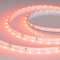 Лента светодиодная RT-A60-8mm 24В Carrot 4.8Вт/м IP20 (уп.5м) Arlight 055375