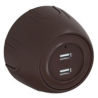 Розетка USB 2-м Rotondo с подсветкой корич. OneKeyElectro 7700898