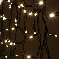 Гирлянда светодиодная "Нить" 10м 100LED тепл. бел. IP65 220В бел. мерцание провод черн. каучук (без шнура питания) Эра Б0051888