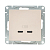 Розетка 2-м СП Эпика USB-C механизм крем. EKF UP1-SOI-2USBC