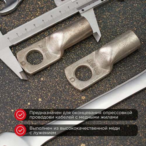 Наконечник ТМЛ 25-10-8 Rexant 07-5315 фото 2