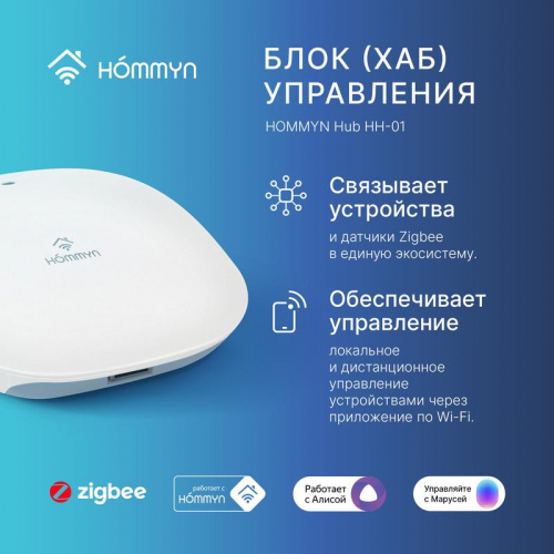 Блок управления (шлюз) Hub HH-01 HOMMYN НС-1402862 фото 4