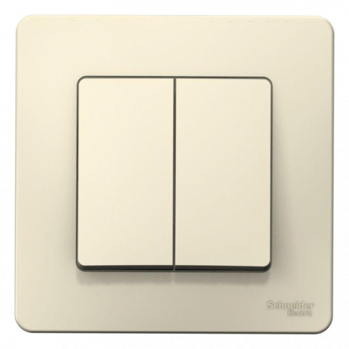 Выключатель 2-кл. СП Blanca 10А IP20 (сх. 5) 250В молочн. SE BLNVS010502 фото 2