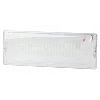 Светильник светодиодный DPA-301-1-65 IP65 40LED 3ч аварийный постоянный Проектный Эра Б0051843