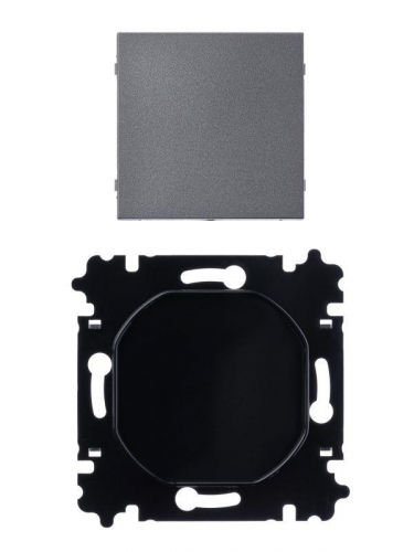 Заглушка Levit сталь ABB 2CHH050001A6069 фото 2