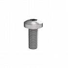 Винт M5х25 РАМ Пауэр (RAM power) для шинного держателя (уп.20шт) DKC R5SCM5X25