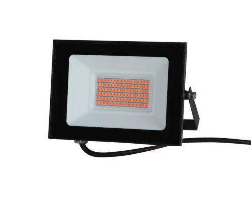 Прожектор светодиодный ФИТО LFL-3005 C02 30Вт черн. Camelion 15835 фото 2