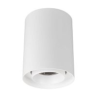 Светильник светодиодный SP-FOCUS-R110-18W Day4000 WH 36deg 230В IP54 18Вт 4000К метал. Arlight 054854