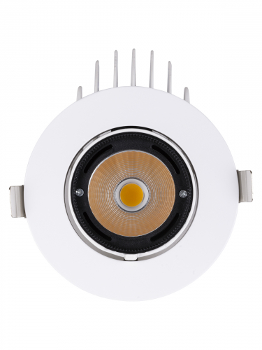 Светильник встраиваемый поворотный "Акцент-1" LED DSL-01-030-NW 30 Вт, 24°, 4000 К, 90 Ra, IP40, TDM фото 5