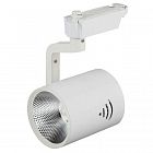 Светильник трековый TR1-30 30Вт COB 1ф WH бел. Эра Б0032099