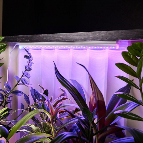 Светильник светодиодный для растений Green line 14Вт LED с комплектом креплений Rexant 616-001 фото 6