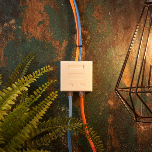 Розетка компьютерная + телефонная 2-м ОП RJ45 + RJ11 UTP неэкранир. комбинир. REXANT 03-0120 фото 4