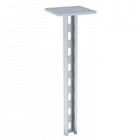 Стойка STRUT 41х21 L300 сталь EKF sts412130