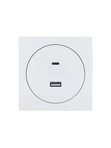 Розетка 1-м СП OSEN TC+ USB разъем бел. LEZARD 743-0288-192TC фото 3