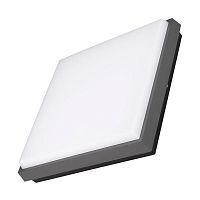 Светильник LGD-AREA-S240x240-25W Warm3000 (GR 110 deg 230В) (IP54 металл) Arlight 029952