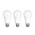 Лампа светодиодная 20.5Вт A60 грушевидная 6500К E27 1948лм (уп.3шт) Rexant 604-201-3