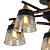 Люстра Buds 60Вт E27х5 IP20 Freya FR5153PL-05B