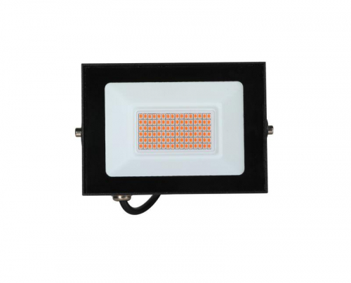 Прожектор светодиодный ФИТО LFL-3005 C02 30Вт черн. Camelion 15835 фото 10